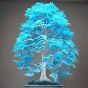 iShopping - HusMah Japanese Blue Maple Bonsai Tree Seeds