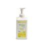 iShopping - HiClean Hand Foam Sanitizer Lemon - 1000ml
