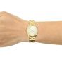 iShopping - Coach Modern Luxury Women's Watch Gold (14503208)