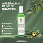iShopping - Herb Heaven Australian Olive Oil Shampoo