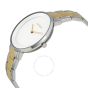 iShopping - Skagen Ditte Women's Watch Two-Tone (SKW2339)
