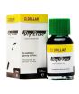 iShopping - Dollar Whiteboard Marker Ink - Green