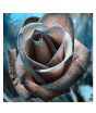 iShopping - Husmah Blood Line Rose Seeds