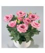 iShopping - HusMah Bonsai Rare Eustoma Seeds- Pink