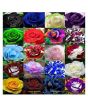 iShopping - Husmah World's Rarest Rose Seeds- Mix