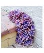 iShopping - Husmah Purple Climbing Succulent Seeds