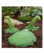 iShopping - Husmah Canary Island Flat Succulent Seeds