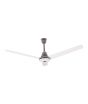 iShopping - Super Asia Jazz Ceiling Fan