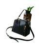 iShopping - Shoppinggaardi MIni Stylish Shoulder Bag For Women Black