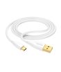 iShopping - Faster 03 Cable 2.4 Ampere