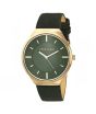 iShopping - Anne Klein Leather Watch For Women Green (AK/3814OLOL)