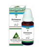 iShopping - BM Homoeopathy Echinacea Drops For Immunity Improver - Pack Of 2