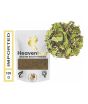 iShopping - Organic Superfoods Brahmi Booti Powder 100gm