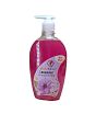 iShopping - Care4Ever Antibacterial Hand Wash Levendar