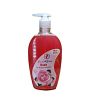iShopping - Care4Ever Antibacterial Hand Wash Rose