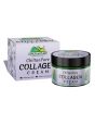 iShopping - Chiltan Pure Collagen Cream - 50ml