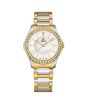 iShopping - Cover Chain Watch For Women (CO191.02)