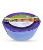 iShopping - Appollo Trend Food Container Large (Pack Of 3)-Purple