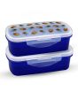 iShopping - Appollo Bento Lunch Box M-2 (Pack Of 2)