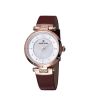 iShopping - Daniel Klein Premium Women's Watch Brown (DK11902-6)