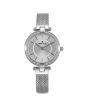 iShopping - Daniel Klein Premium Women's Watch Silver (DK11954-1)