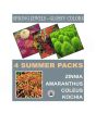 iShopping - DIY Store Summer Flower Seeds Pack of 4 (0042)
