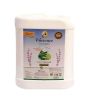 iShopping - G&M Clarence Hand Wash 10 Ltr