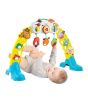 iShopping - ShopEasy Barnyard Pals Kids Activity Gym & Playmat