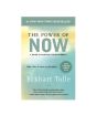 iShopping - The Power Of Now Book