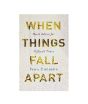 iShopping - When Things Fall Apart Book
