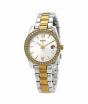 iShopping - Fossil Scarlette Women's Watch Gold (ES4319)