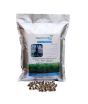 iShopping - Herbyzone Moringa Fodder Seeds