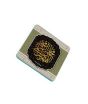 iShopping - ZamZam Havenly Ham Printed Fridge Magnet
