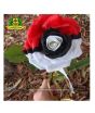 iShopping - HusMah Rare Tri Color Rose Seeds