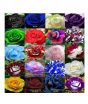 iShopping - HusMah World's Rarest Rose Seeds Mix