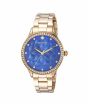 iShopping - Invicta Wildflower Women's Watch Gold (24537)