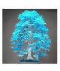 iShopping - HusMah Japanese Blue Maple Bonsai Tree Seeds