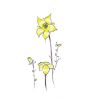 iShopping - Ferozi Traders Yellow Blossom Flower Tree Tattoo Sticker