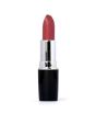 iShopping - Swiss Miss Lipstick Rose Wood (MATTE-245)