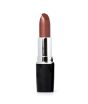 iShopping - Swiss Miss Lipstick Metallic Brown (MATTE-249)