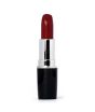 iShopping - Swiss Miss Lipstick True Maroon (MATTE-284)