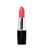 iShopping - Swiss Miss Lipstick (MATTE-520)