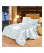 iShopping - Maguari Satin Soft Silk Shine Double Bed Sheet Sky Blue (0311)