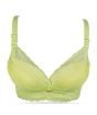iShopping - Purple Bag Fancy Lace Double Padded Wireless Soft Pushup Bra Green (0015)