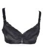 iShopping - Purple Bag Fancy Lace Wireless Soft Padded Pushup Bra Black (0021)
