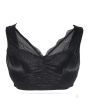 iShopping - Purple Bag Fancy Net Lace Soft Padded Wireless Bra Black (0038)