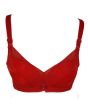 iShopping - Purple Bag Stylish Net Double Padded Wireless Pushup Bra Red (0027)
