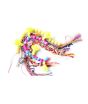 iShopping - Planet X DIY Your Own Style Friendship Bracelets For Kids (PX-11347)