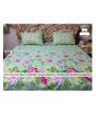iShopping - Royal Tex Printed Double Bed Sheet (RTB-5014)