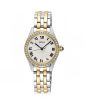 iShopping - Seiko Analog Women's Watch Two Tone (SUR336P1)